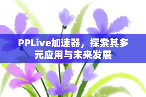 PPLive加速器，探索其多元应用与未来发展