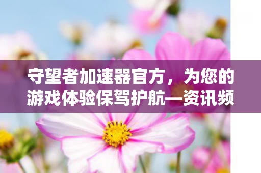 为您的游戏体验保驾护航图片