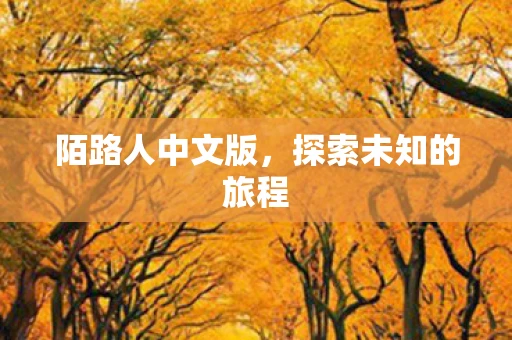 陌路人中文版，探索未知的旅程