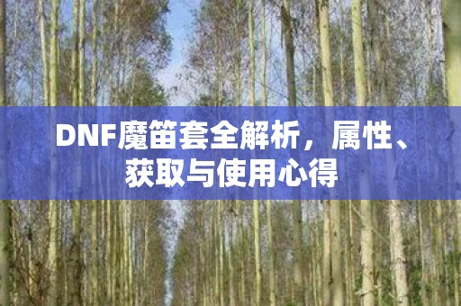 DNF魔笛套全解析，属性、获取与使用心得