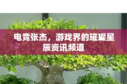 电竞张杰，游戏界的璀璨星辰资讯频道