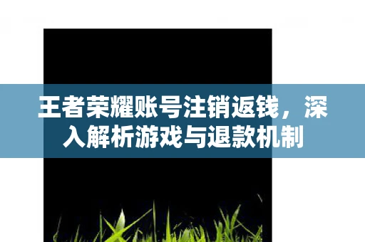 王者荣耀账号注销返钱，深入解析游戏与退款机制