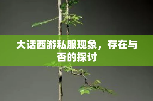 大话西游私服现象图片