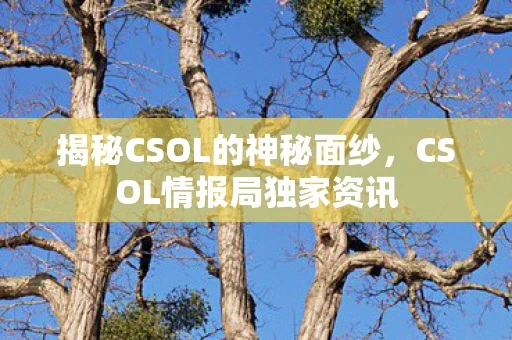 揭秘CSOL的神秘面纱，CSOL情报局独家资讯