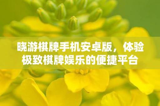 晓游棋牌手机安卓版，体验极致棋牌娱乐的便捷平台