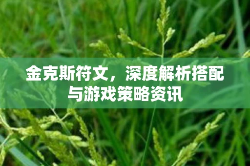 金克斯符文，深度解析搭配与游戏策略资讯