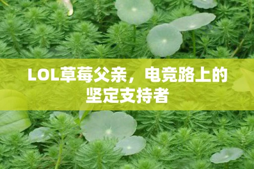 LOL草莓父亲，电竞路上的坚定支持者