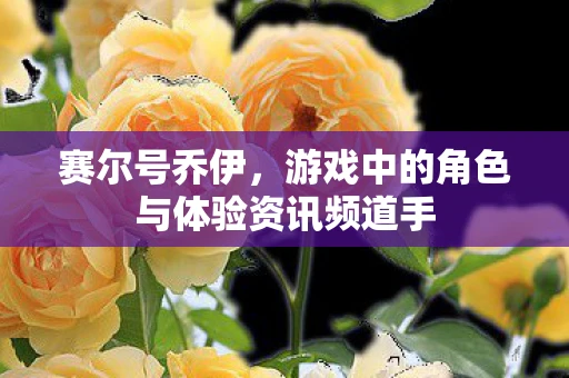 赛尔号乔伊，游戏中的角色与体验资讯频道手