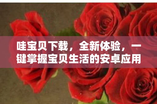 哇宝贝下载，全新体验，一键掌握宝贝生活的安卓应用