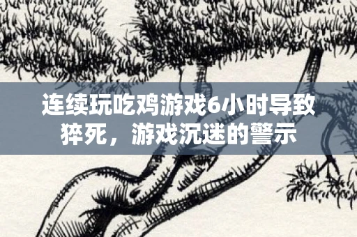 连续玩吃鸡游戏6小时导致猝死，游戏沉迷的警示