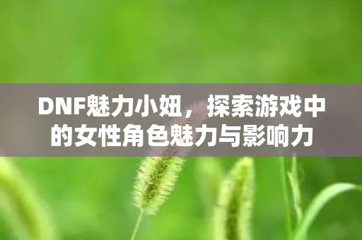 DNF魅力小妞，探索游戏中的女性角色魅力与影响力