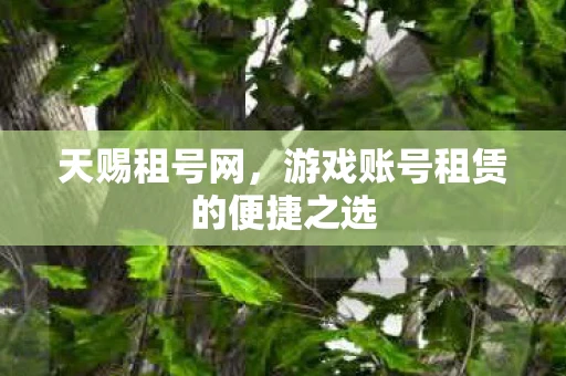 天赐租号网，游戏账号租赁的便捷之选