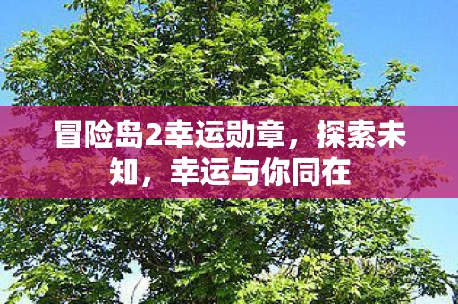 冒险岛2幸运勋章，探索未知，幸运与你同在