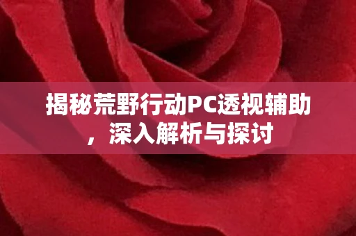揭秘荒野行动PC透视辅助，深入解析与探讨