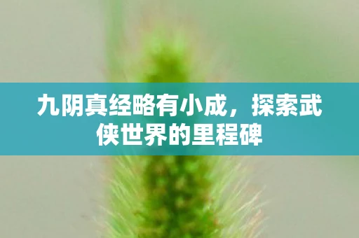 九阴真经略有小成，探索武侠世界的里程碑