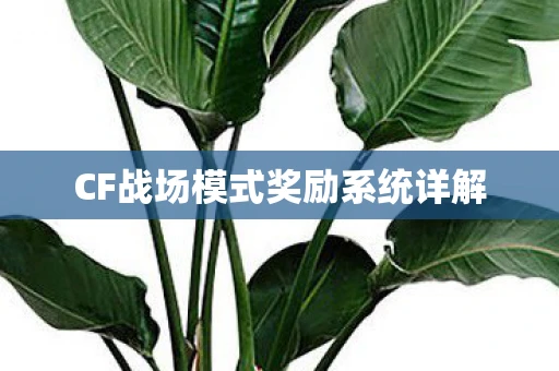 CF战场模式奖励系统详解