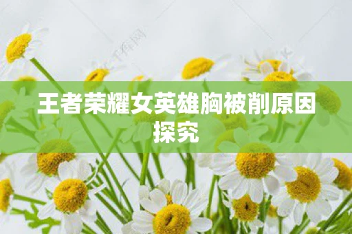 王者荣耀女英雄胸被削原因探究