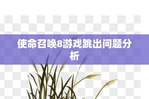使命召唤8游戏跳出问题分析图片