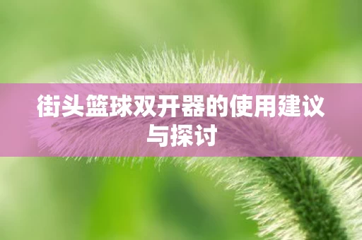 街头篮球双开器的使用建议与探讨图片