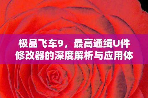极品飞车9，最高通缉U件修改器的深度解析与应用体验
