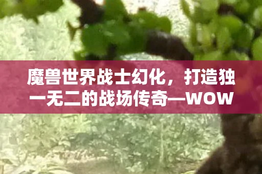 魔兽世界战士幻化，打造独一无二的战场传奇—WOW战士幻化的魅力之旅