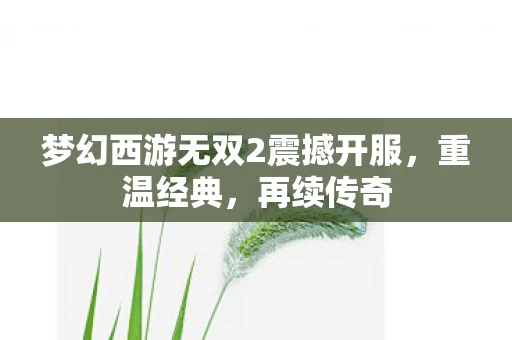 梦幻西游无双2震撼开服，重温经典，再续传奇
