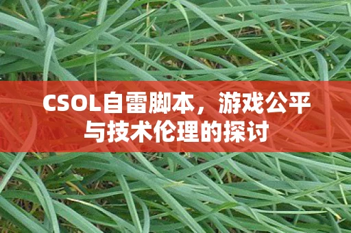 CSOL自雷脚本，游戏公平与技术伦理的探讨
