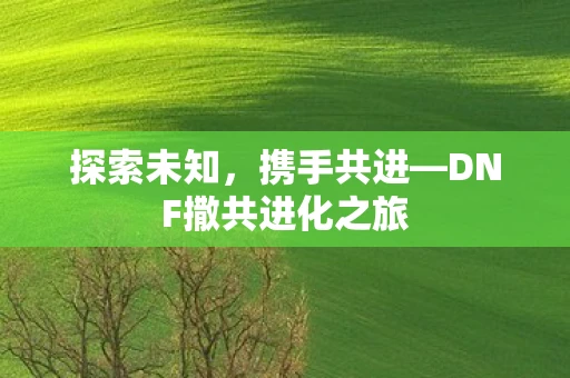 探索未知，携手共进—DNF撒共进化之旅