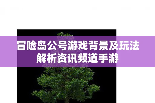 冒险岛公号游戏背景及玩法解析资讯频道手游