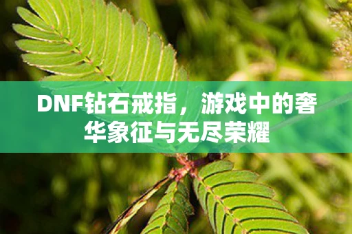 DNF钻石戒指，游戏中的奢华象征与无尽荣耀