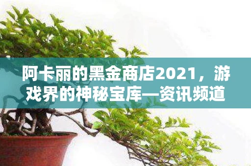 阿卡丽的黑金商店2021，游戏界的神秘宝库—资讯频道