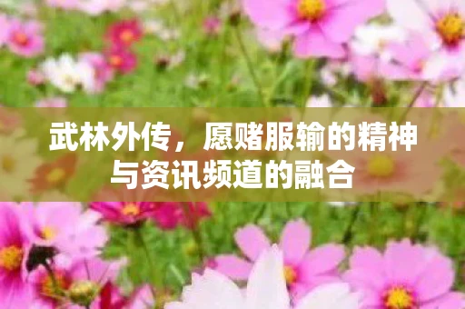 武林外传，愿赌服输的精神与资讯频道的融合