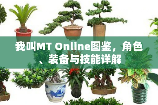 我叫MT Online图鉴，角色、装备与技能详解