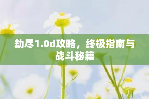 劫尽1.0d攻略，终极指南与战斗秘籍