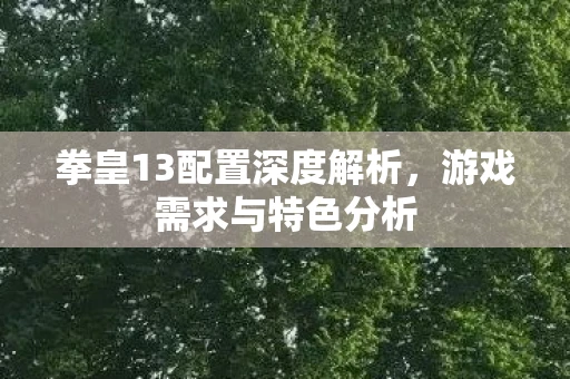 拳皇13配置深度解析，游戏需求与特色分析