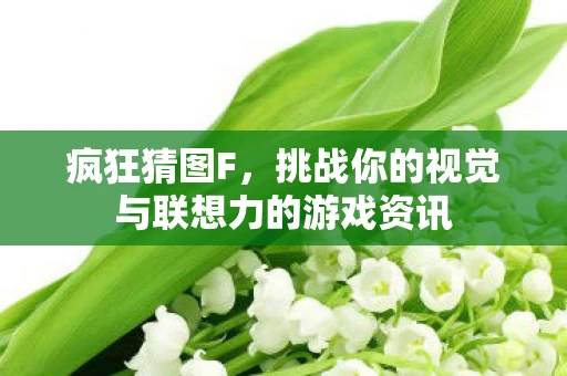 疯狂猜图F，挑战你的视觉与联想力的游戏资讯