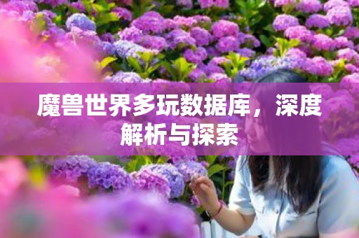 魔兽世界多玩数据库，深度解析与探索