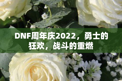 DNF周年庆2022，勇士的狂欢，战斗的重燃