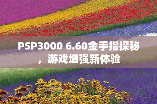 PSP3000 6.60金手指探秘，游戏增强新体验