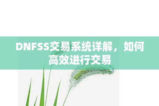 DNFSS交易系统详解图片