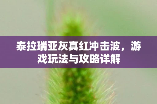 泰拉瑞亚灰真红冲击波，游戏玩法与攻略详解