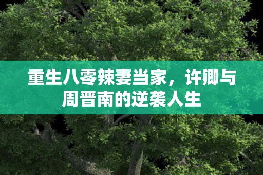 重生八零辣妻当家，许卿与周晋南的逆袭人生