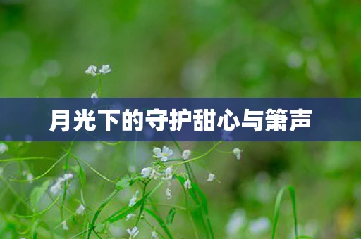 月光下的守护甜心与箫声