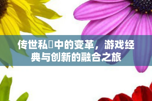 传世私叓中的变革，游戏经典与创新的融合之旅