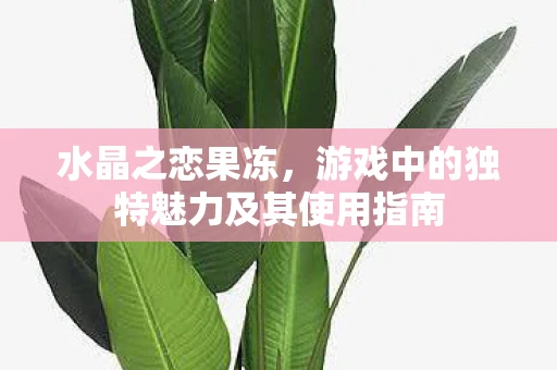 水晶之恋果冻，游戏中的独特魅力及其使用指南