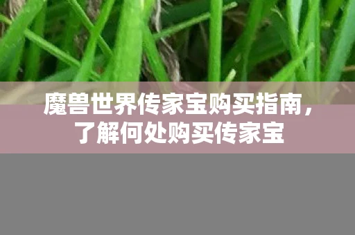 魔兽世界传家宝购买指南，了解何处购买传家宝