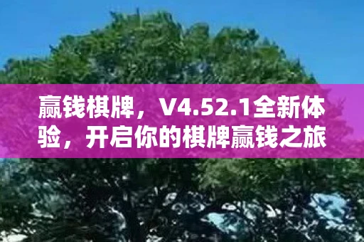 赢钱棋牌，V4.52.1全新体验，开启你的棋牌赢钱之旅