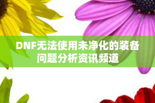 DNF无法使用未净化的装备问题分析资讯频道