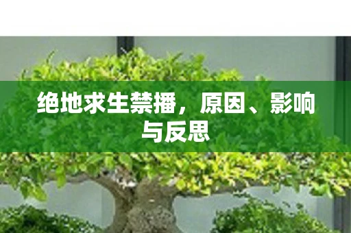 绝地求生禁播，原因、影响与反思