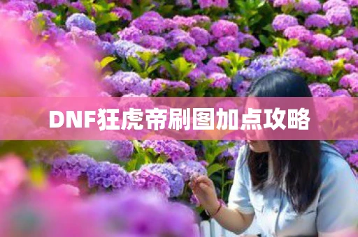 DNF狂虎帝刷图加点攻略